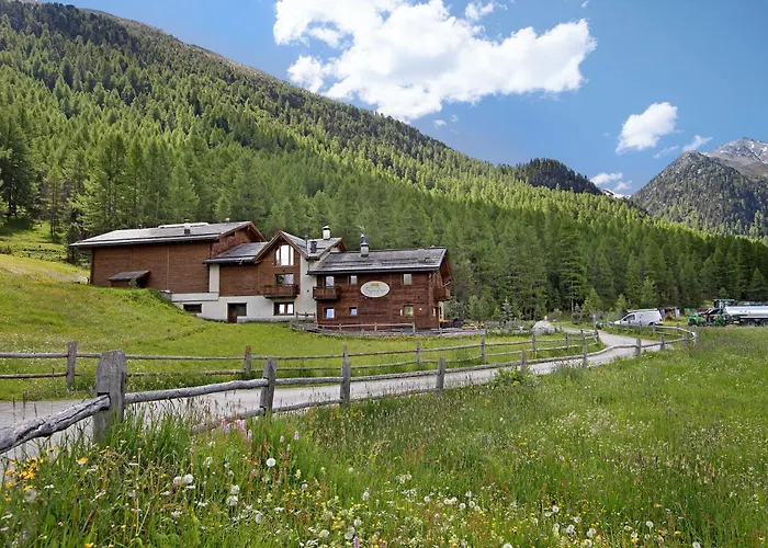 Agriturismo Bosco D\'Oro 3