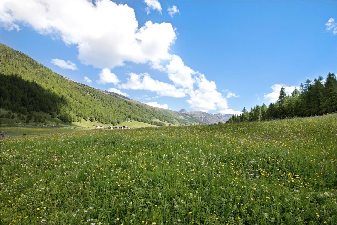 Agriturismo Bosco D'oro 3 Appartement Livigno